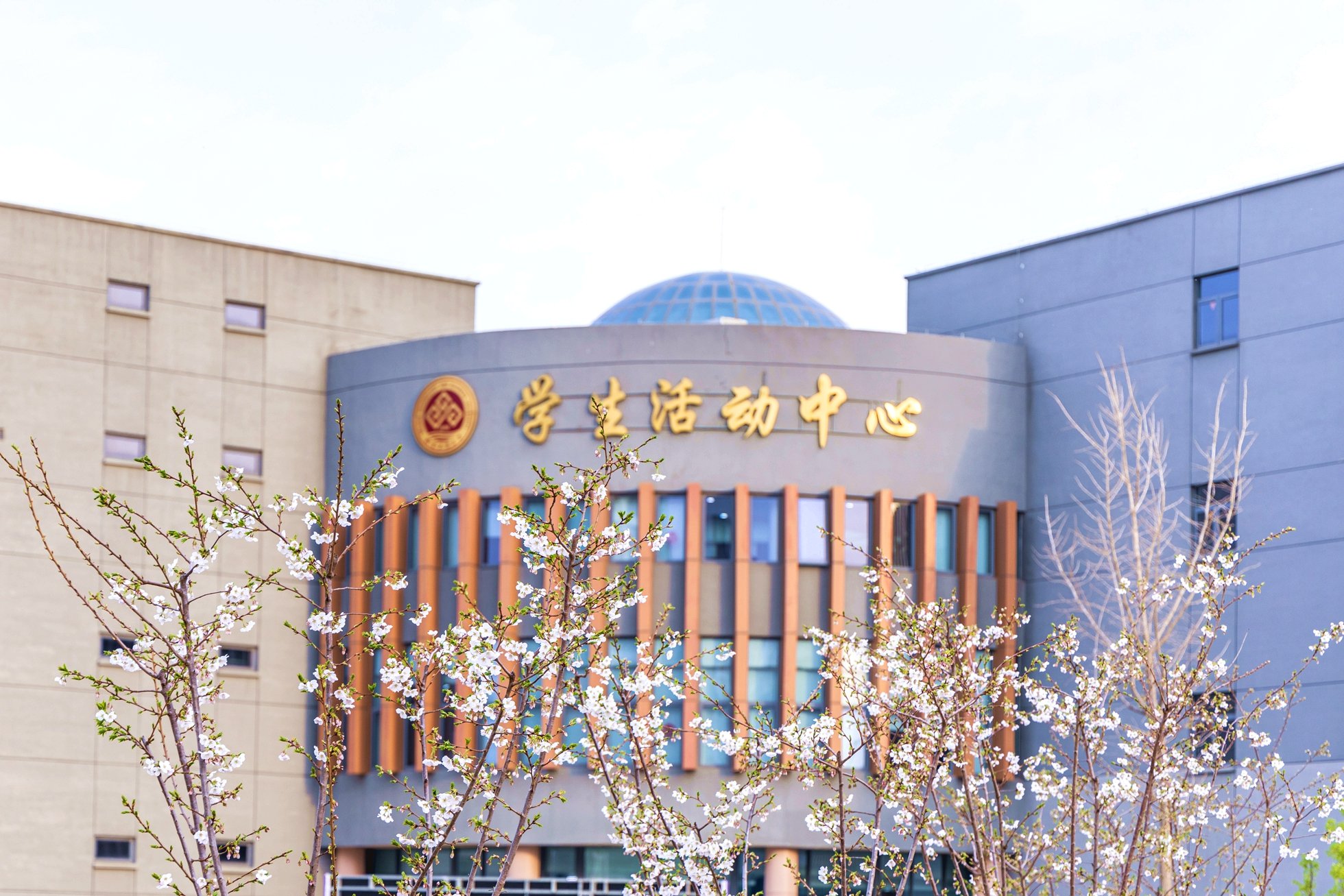 北京工商大学学生活动中